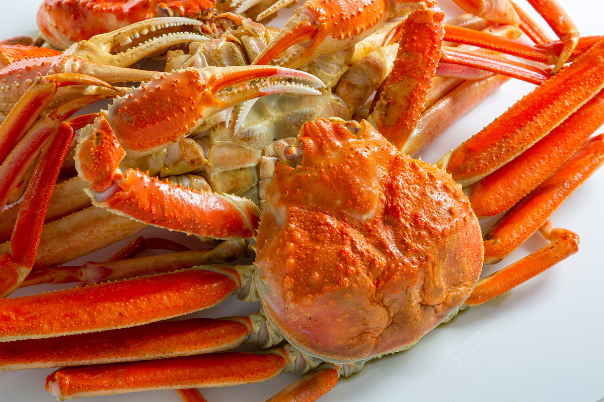 축산항영덕대게